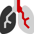 Bronchitis and Pneumonia